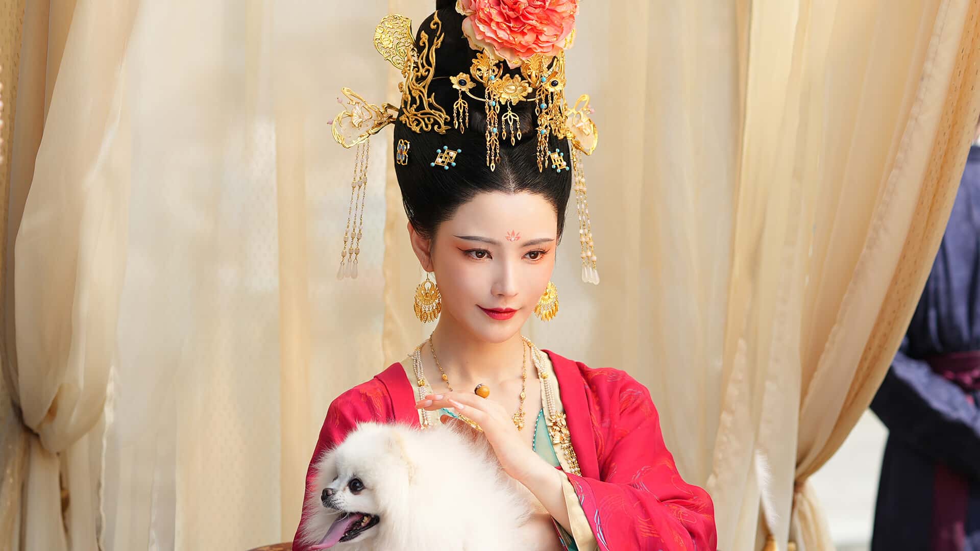 视觉数据6